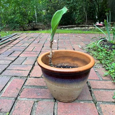 Five Glazed Plant Pots (FY-MG)