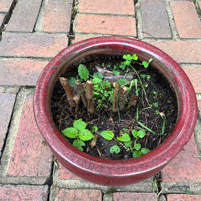Five Glazed Plant Pots (FY-MG)