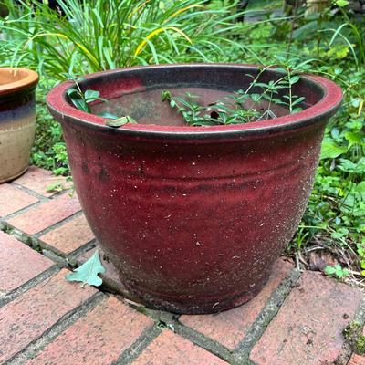 Five Glazed Plant Pots (FY-MG)