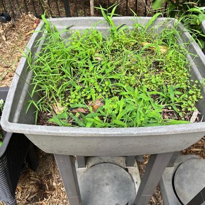 Pair of Tall Plastic Plant Containers (BY-MG)