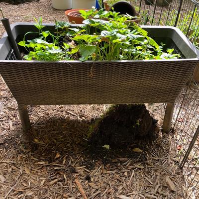 Two Large Basket Style Planters (BY-MG)