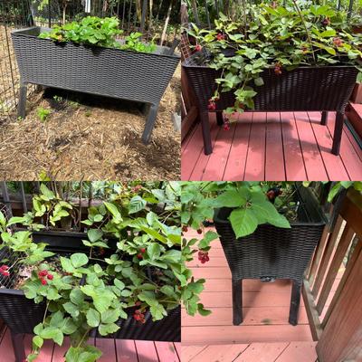 Two Large Basket Style Planters (BY-MG)