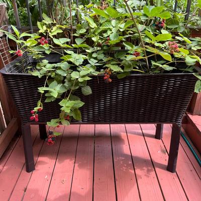 Two Large Basket Style Planters (BY-MG)