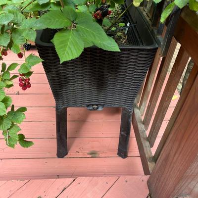 Two Large Basket Style Planters (BY-MG)