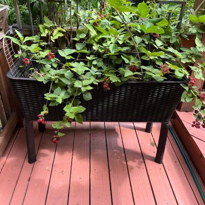 Two Large Basket Style Planters (BY-MG)