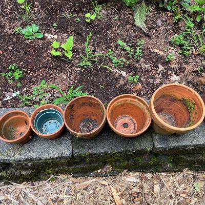 Terra Cotta Pots (BY-MG)