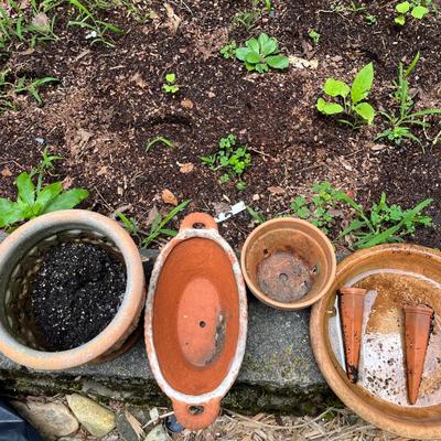 Terra Cotta Pots (BY-MG)