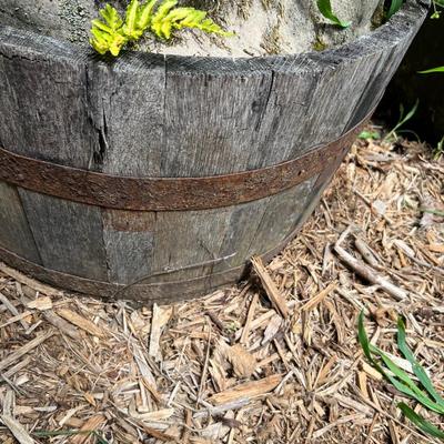 15 Plastic Plant Pots (BY-RG)
