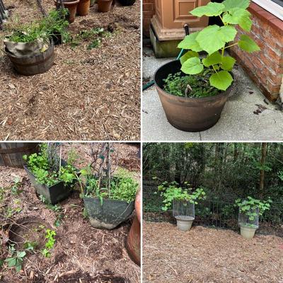 15 Plastic Plant Pots (BY-RG)