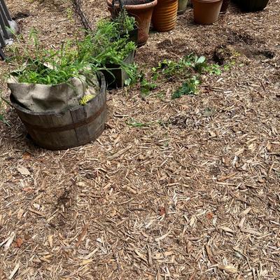 15 Plastic Plant Pots (BY-RG)