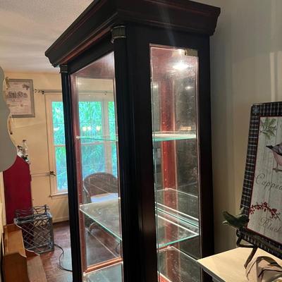 Pulaski Furniture - Slender Curio Cabinet W/Light (LR-RG)