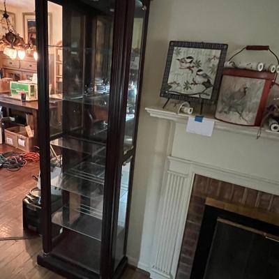 Pulaski Furniture - Slender Curio Cabinet W/Light (LR-RG)
