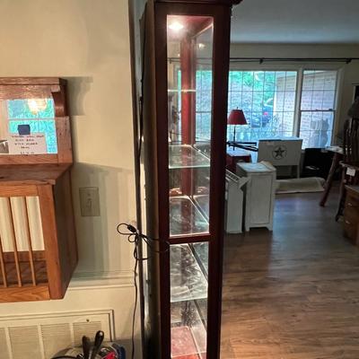 Pulaski Furniture - Slender Curio Cabinet W/Light (LR-RG)