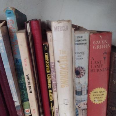 Collection of Books- Assorted Genres