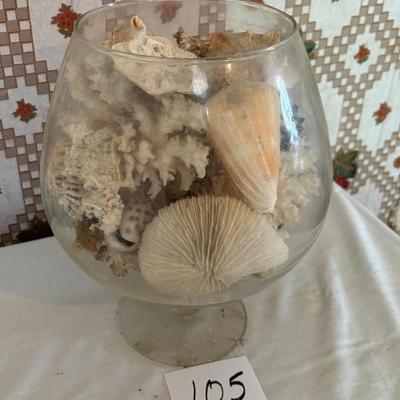 Sea Shells
