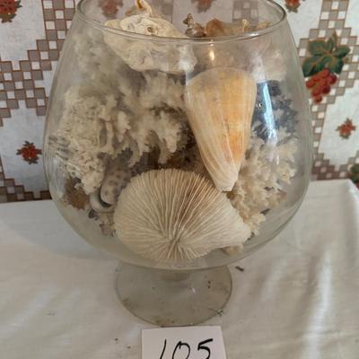 Sea Shells