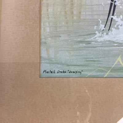 Hz312 Large Original Watercolor Signed "Frank L. Beebe" titled "Pintail Drake Jumping"