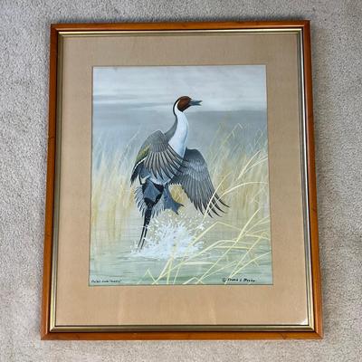 Hz312 Large Original Watercolor Signed "Frank L. Beebe" titled "Pintail Drake Jumping"