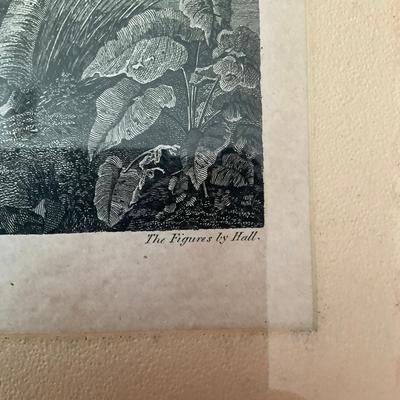 B326 Framed Engraving By John Webber "An Offering Before Captain Cook In The Sandwich Islands"