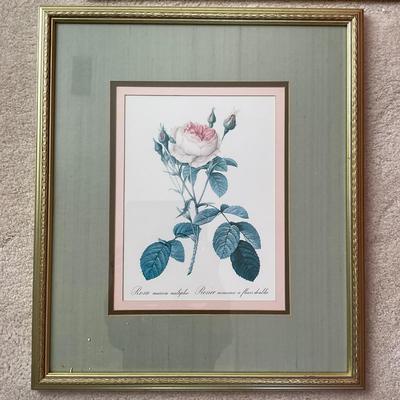 B327 Pair Of Pink Rose Botanical Prints
