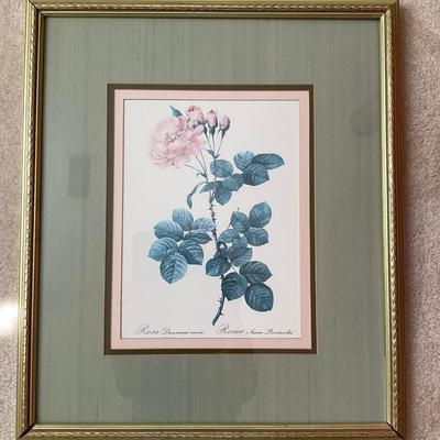 B327 Pair Of Pink Rose Botanical Prints