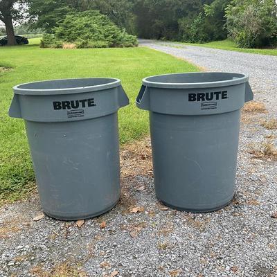 G345 Pair of Brute Garbage Cans