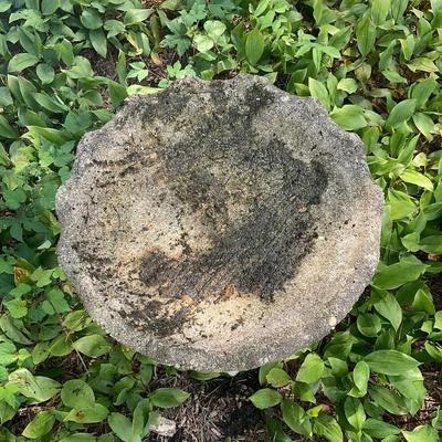 G352 Concrete Bird Bath