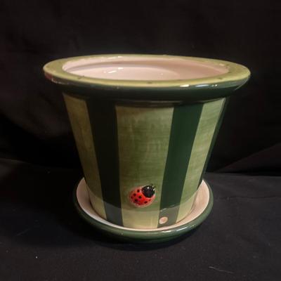 Collection of Watermelon Items (C-MG)
