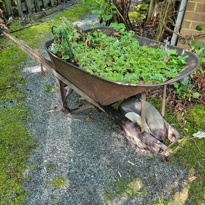 Decorative Wheel Barrow Planter (SY-EL)