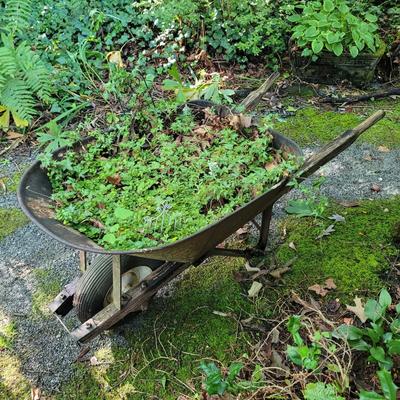 Decorative Wheel Barrow Planter (SY-EL)