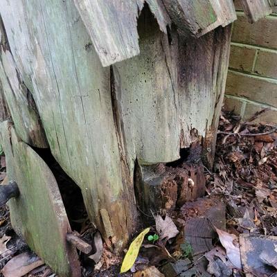 Potting Table and Fairy House (SY-EL)