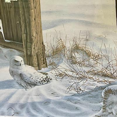 Ghislain Caron signed & numbered " Harfang des neiges" Snowy Owl print, 1987