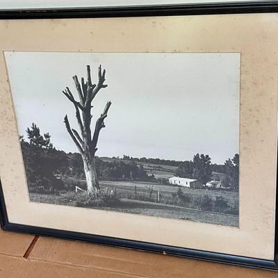 Pair of Edward Hollander landscape photographs