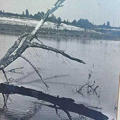 Pair of Edward Hollander landscape photographs