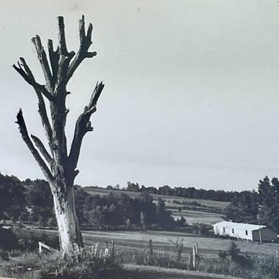 Pair of Edward Hollander landscape photographs