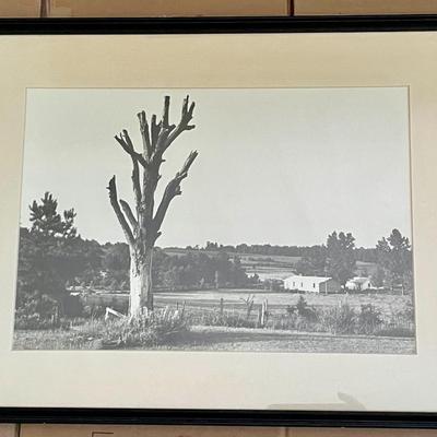 Pair of Edward Hollander photographs - landscape & ice skating