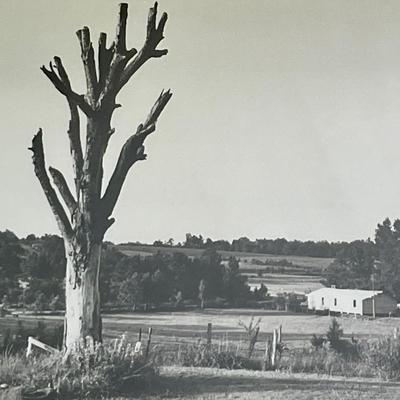 Pair of Edward Hollander photographs - landscape & ice skating