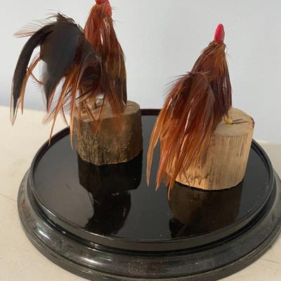 Pair of feathered rooster figurines "under glass"