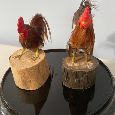Pair of feathered rooster figurines "under glass"