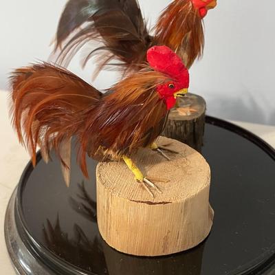 Pair of feathered rooster figurines "under glass"