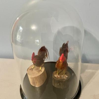 Pair of feathered rooster figurines "under glass"