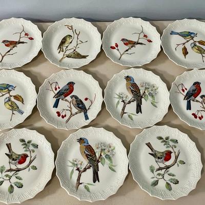Limoges France 11pc bird dessert plate set