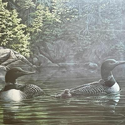 Framed signed and #d "Ring-necked Loons" print by LeDuc