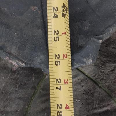 Pair of Concrete Leaf Design Garden Art