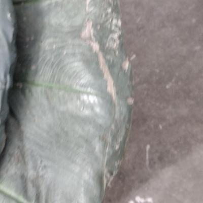 Pair of Concrete Leaf Design Garden Art