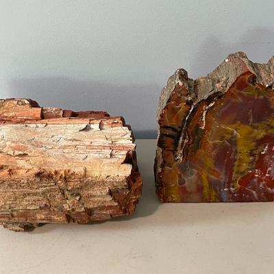 Ammonite, petrified wood & rock 5pc lot