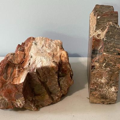 Ammonite, petrified wood & rock 5pc lot