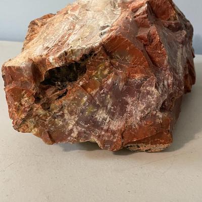Ammonite, petrified wood & rock 5pc lot