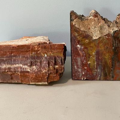 Ammonite, petrified wood & rock 5pc lot