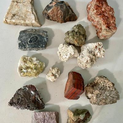 Mixed lot of rocks, fossilized shells & minerals + rock collecting book